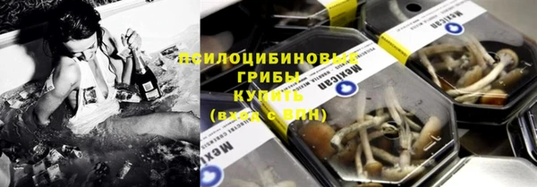 стаф Сосновоборск