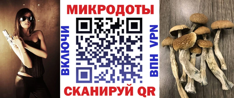 Псилоцибиновые грибы мухоморы  Абакан 