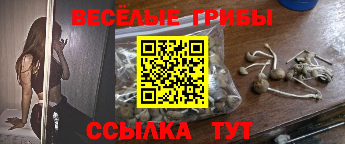 Галлюциногенные грибы прущие грибы Абакан