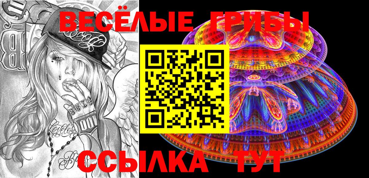 где найти   Галлюциногенные грибы GOLDEN TEACHER  Вход с VPN  Абакан  Галлюциногенные грибы Cubensis 